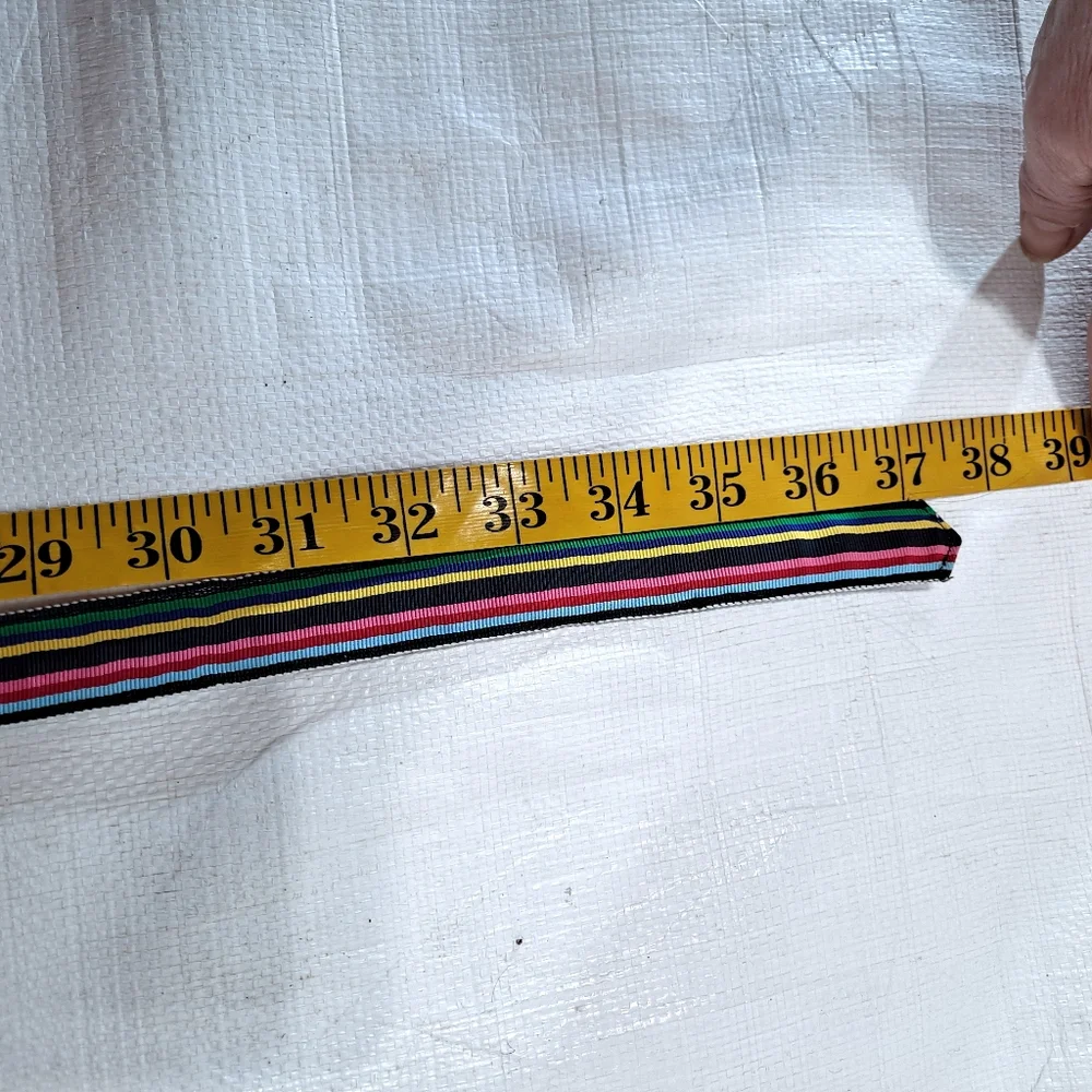 CK Bradley Rainbow Ribbon Fabric Double D Ring Belt